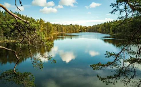 Smuk sø, blå himmel og grøn skov i Nuuksio nationalpark, Finland