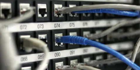 Close-up of network cables connected to a switch
